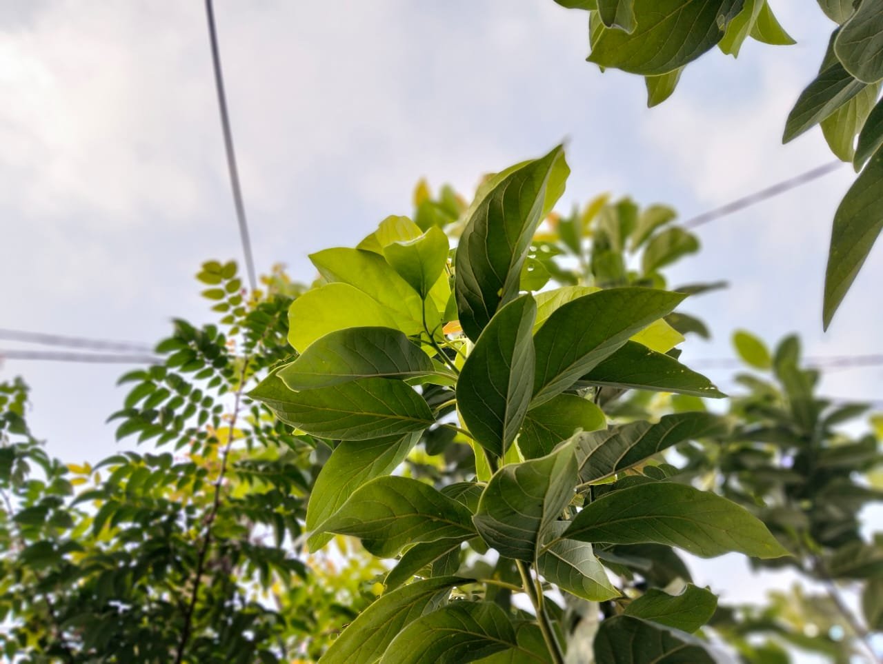 Paket Pelatihan Kader Fasilitator Pengasuhan seri Penguatan Kapabilitas Spiritual 